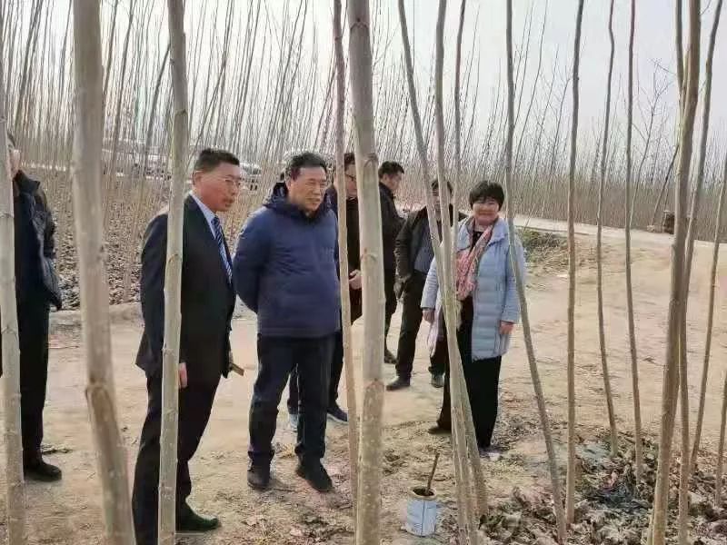 河南省林业技术推广站站长周建平到安平镇考察