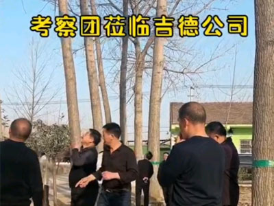 襄阳太平镇政府考察团莅临吉德公司考察见证吉德杨的特异长势