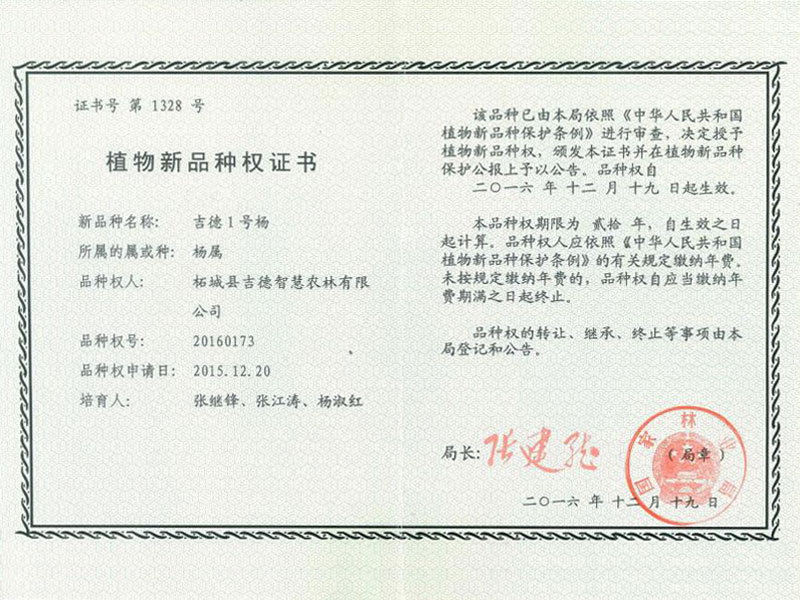 吉德1号杨植物新品种权证书