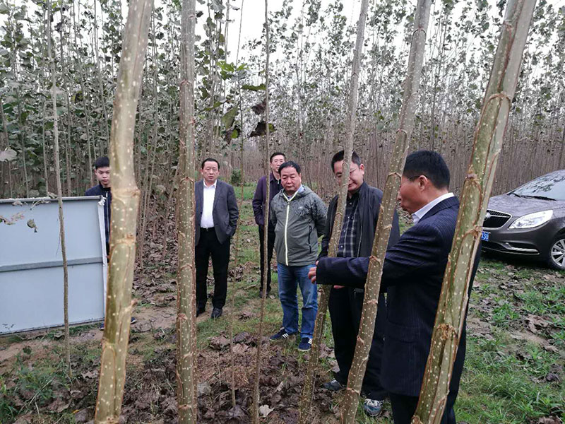 河南省林业厅领导到基地考察