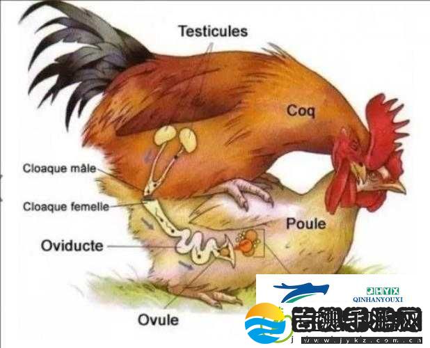 优质**灌溉系统助力植物生长与繁衍