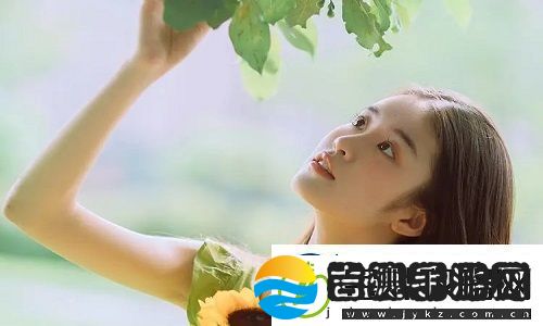 日本2024年免费三色电费政策是什么