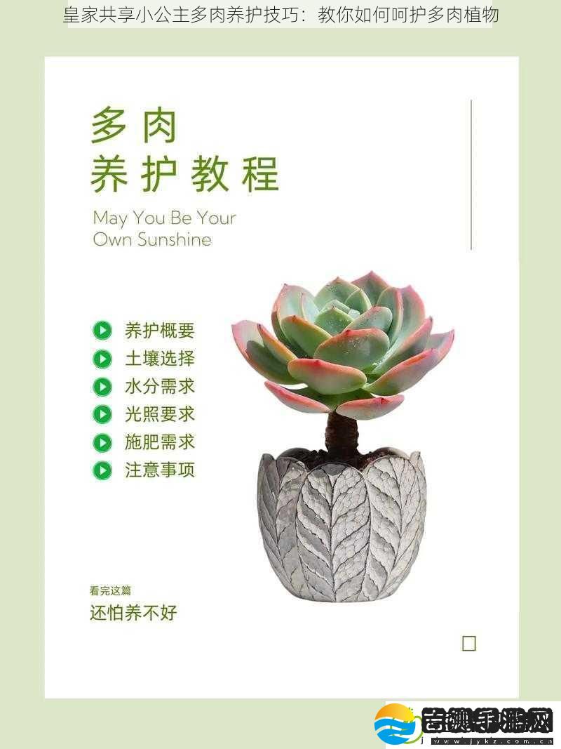 皇家共享小公主多肉养护技巧