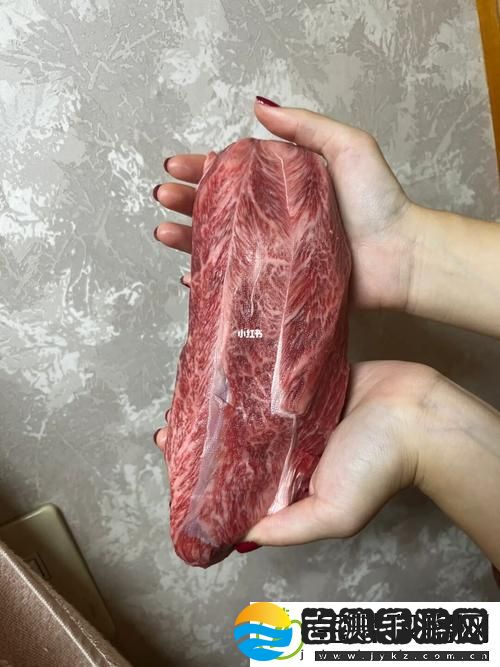探索“大肉大捧一进一出的视频”的神秘魅力