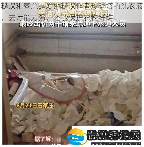 糙汉租客总是爱她糙汉作者玲珑塔的洗衣液