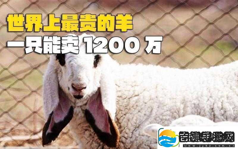 人类黎明之羊毛大发现