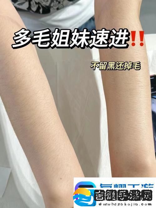 深入探讨AAAA级毛和AAAA的区别