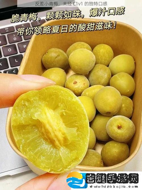 在岁月的涟漪中