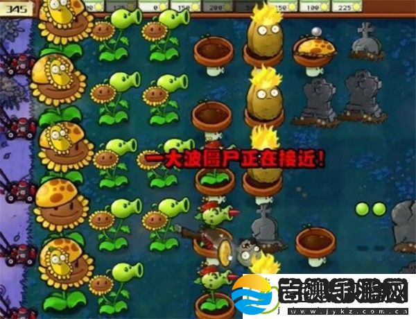 植物大战僵尸杂交版冒险模式第5关如何通关