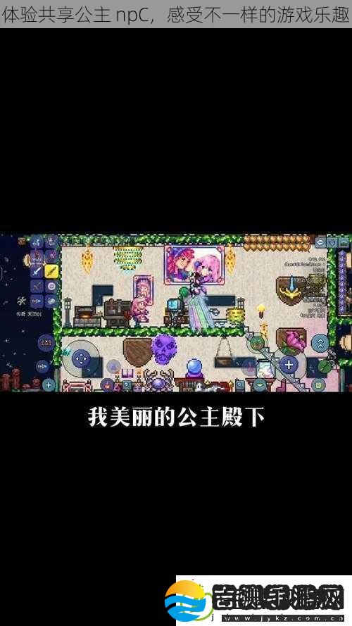 体验共享公主