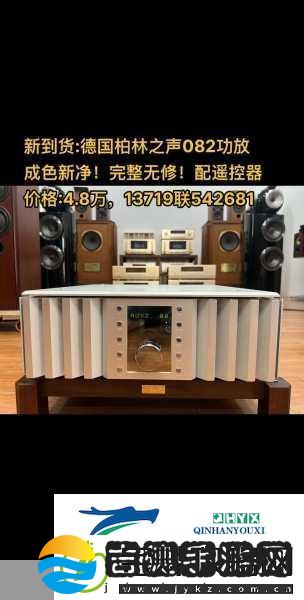 声声入魂hifi