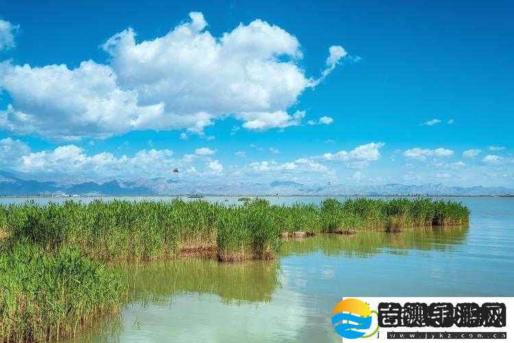 怡红院导航