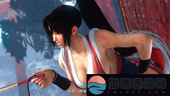 各版本女忍者