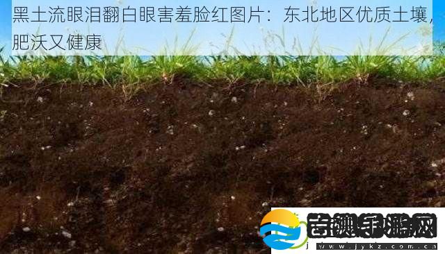 黑土流眼泪翻白眼害羞脸红图片