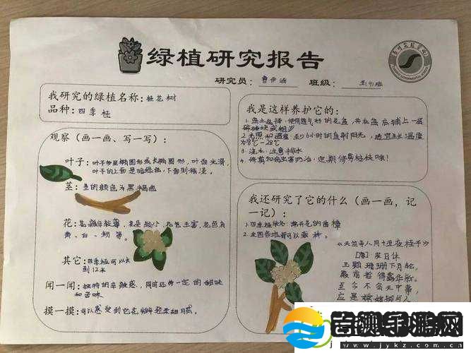 嫩草研究一二三四五六