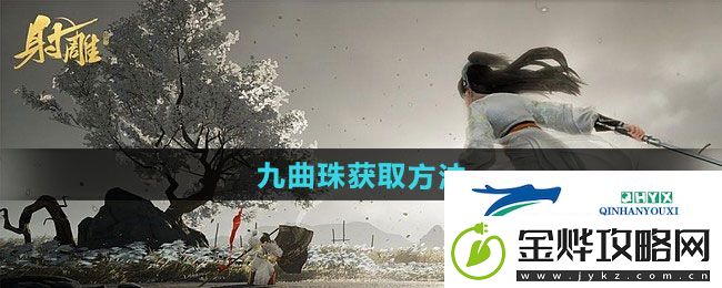 射雕九曲珠怎样获得