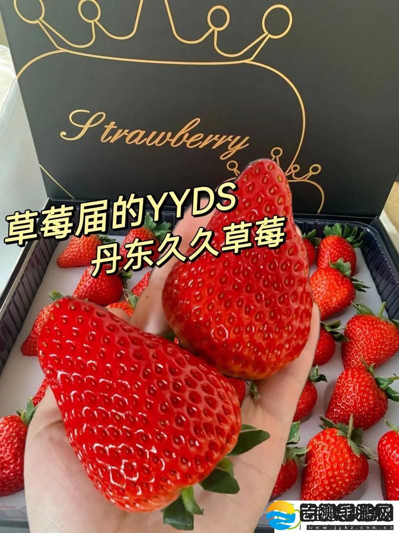草莓视频久久