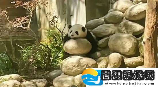 现在成年人被打屁股比小孩子多