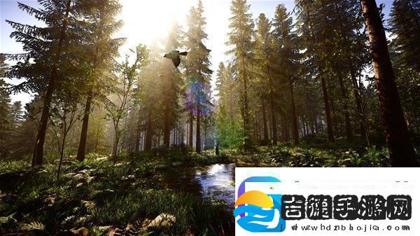 森林之子0正式版控制台代码有哪些