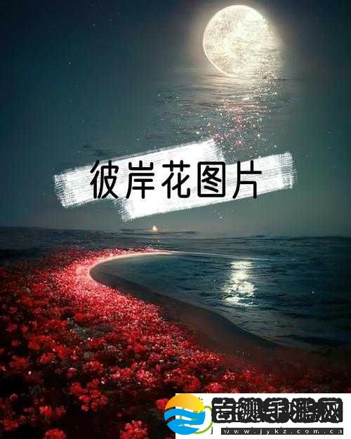 **海角