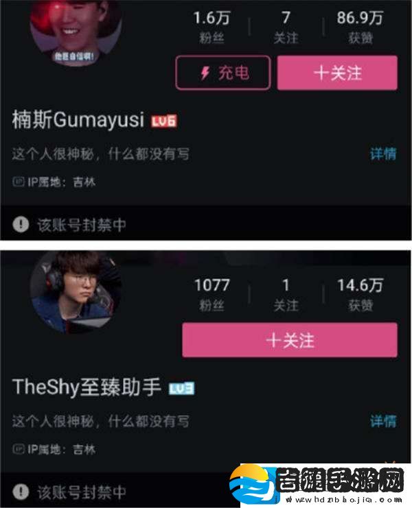 Theshy母亲去世