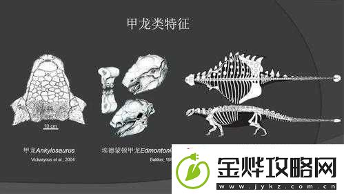 探寻神秘的甲龙起源