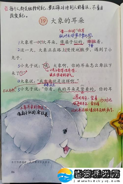 大象回家永久不迷路