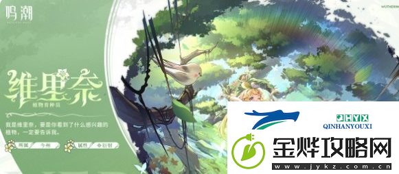 鸣潮椿主C阵容搭配一览