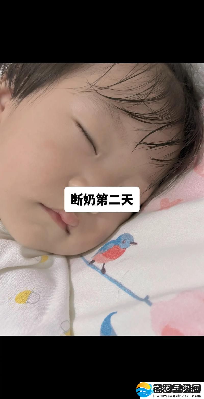 重温旧梦