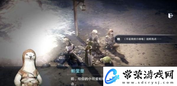 黑色沙漠小神龟怎么获得