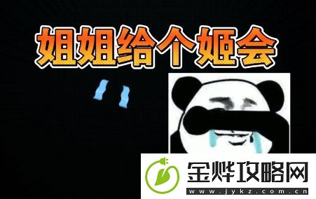 姐姐给个姬会是什么梗网络用语