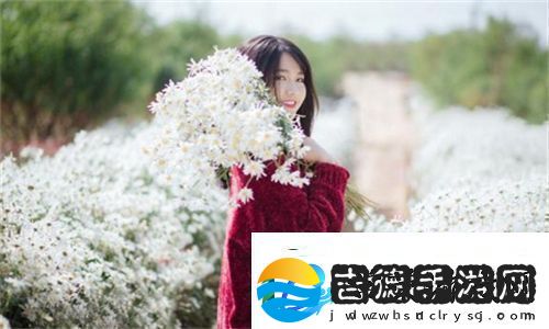 好看的韩国三色电费闪耀生活品质提升