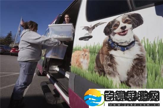 游你扯淡