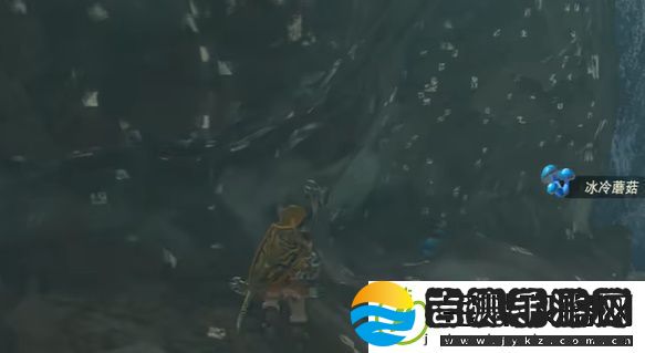 王国之泪跨越冰冷的水玩法攻略