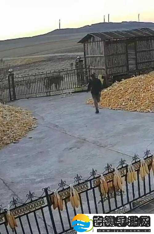 东北