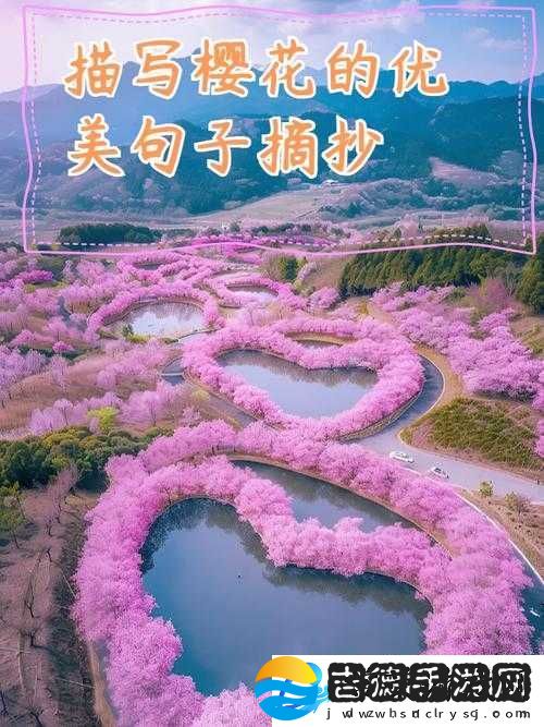 我可以深入了解你的樱花吗绚丽季节