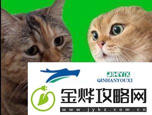 猫猫对话是什么梗络用语