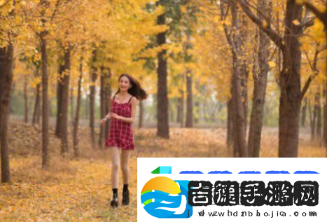 大奉打更人插花弄玉成语意思