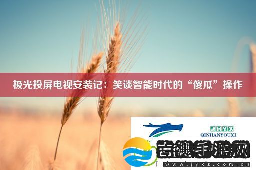极光投屏电视安装记