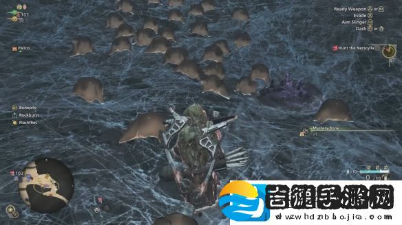 怪物猎人