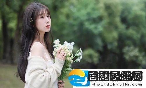 国内有哪些永久免费的SaaS