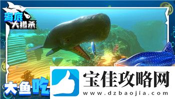 战国无双5如何更换队友