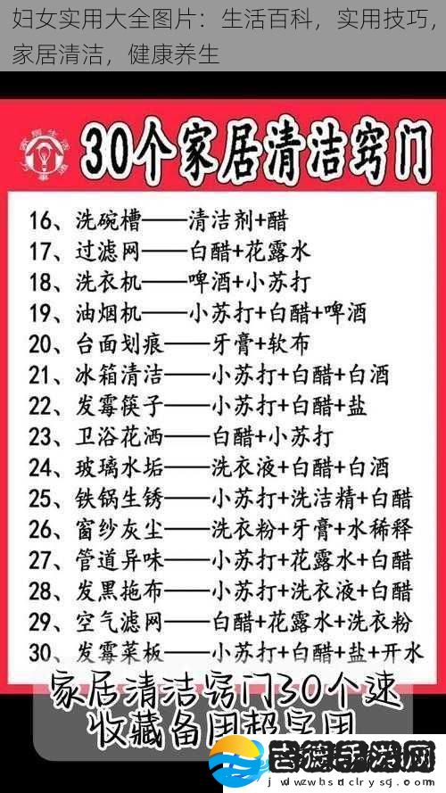 妇女实用大全图片