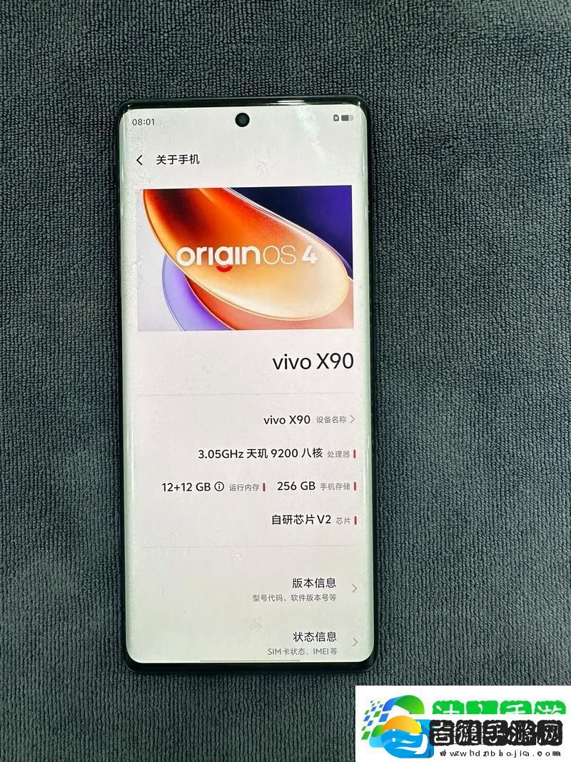 国产X9X9X9X9X9X任意槽