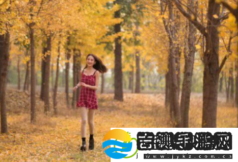 麻花传剧mv无痕免费观看