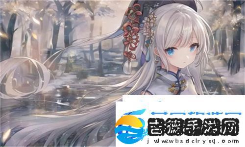 九幺高危风险9.1免费版安装大全——全面解析与用户指南