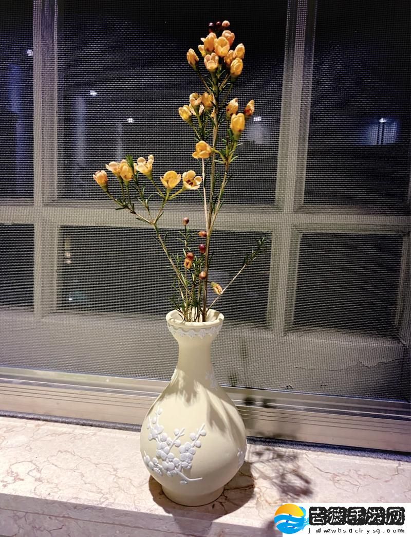 赏析传统艺术之美