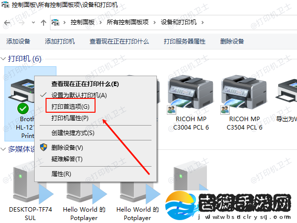 打印机首选项没有维护选项什么原因