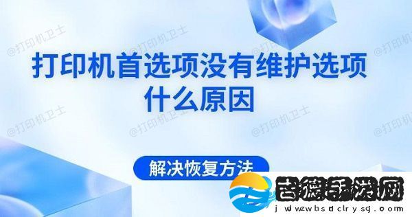 打印机首选项没有维护选项什么原因