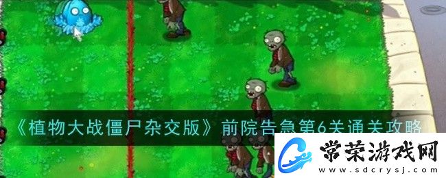 植物大战僵尸杂交版前院告急第6关通关攻略